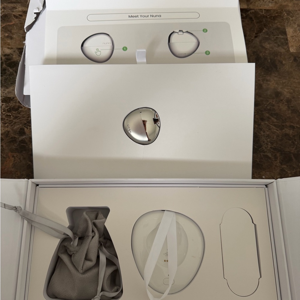 Silver Wireless Earbuds